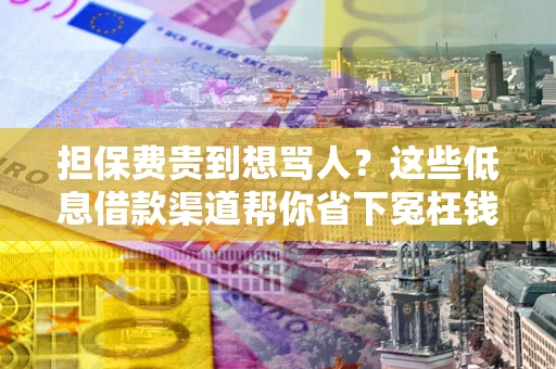 济南担保费贵到想骂人？这些低息借款渠道帮你省下冤枉钱