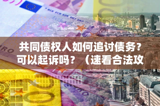 济南共同债权人如何追讨债务？可以起诉吗？（速看合法攻略）